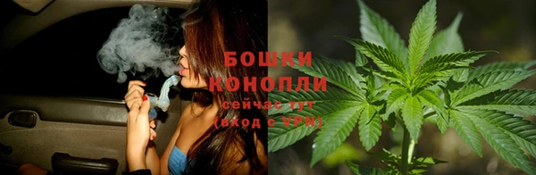гидропоника Алзамай