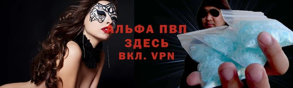 гидропоника Алзамай