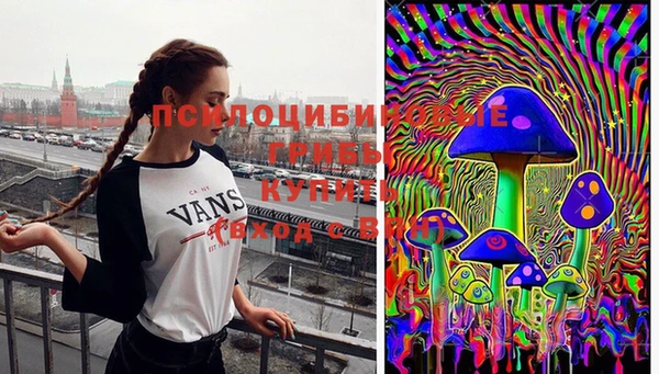 гидропоника Алзамай