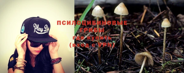 ешки Алексеевка